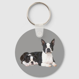 Chaveiro de Boston Terrier Buddies