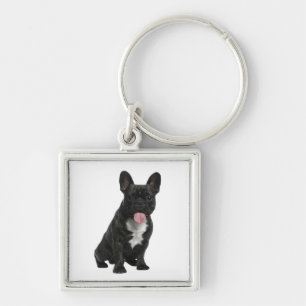Chaveiro de Cachorrinho Bulldog Francês Fofo