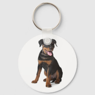Chaveiro de Cachorrinho Rottweiler
