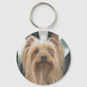 Chaveiro de Cachorro