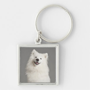 Chaveiro de Cachorro Americano Eskimo Branco