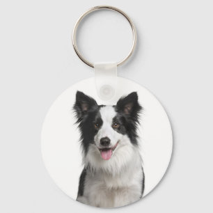 Chaveiro de Cachorro Border Collie Amor