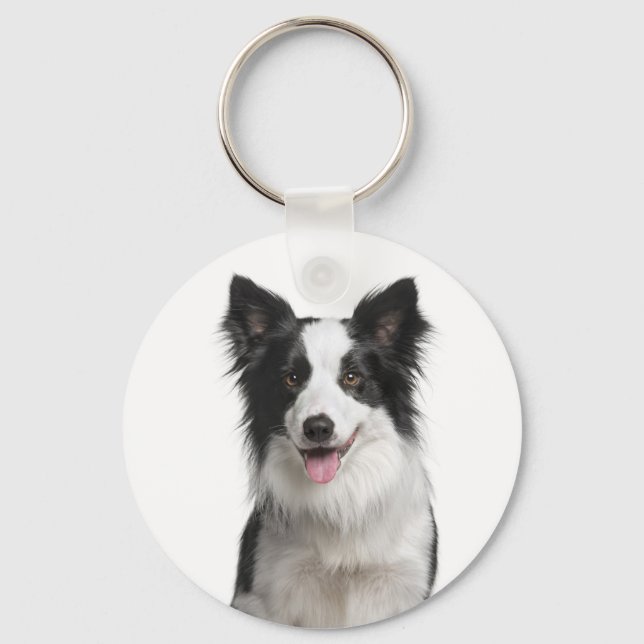 Chaveiro de Cachorro Border Collie Amor (Frente)