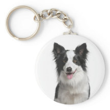 Chaveiro de Cachorro Border Collie Amor
