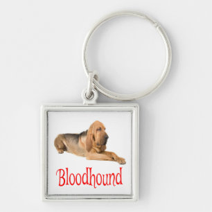Chaveiro de Cachorro Canino Filhote Bloodhound Amo