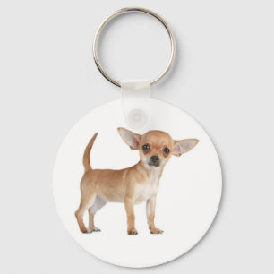 Chaveiro de Cachorro Chihuahua Filhote Amor