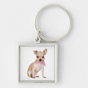Chaveiro de Cachorro Chihuahua Filhote Amoroso