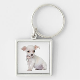 Chaveiro de Cachorro Chihuahua Filhote Amoroso