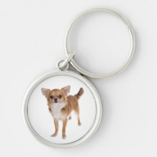 Chaveiro de Cachorro Filhote Chihuahua Amor