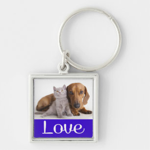 Chaveiro de Cachorro Filhote Dachshund e Gatinho