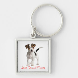 Chaveiro de Cachorro Filhote Jack Russell Terrier