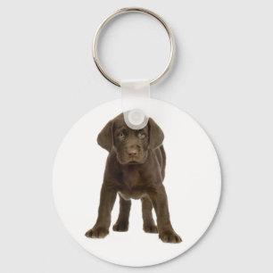 Chaveiro de Cachorro Filhote Labrador Retriever Ch