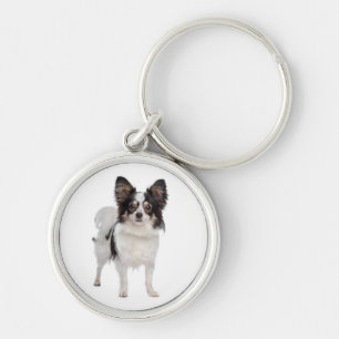 Chaveiro de cachorro filhote Papillon
