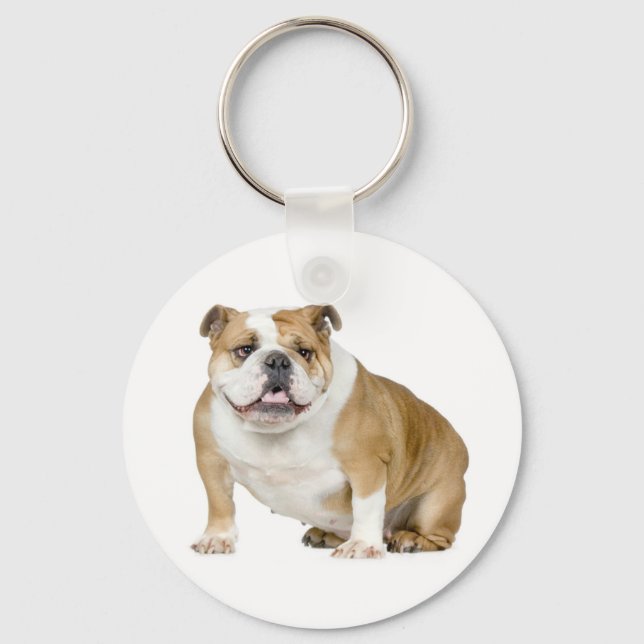 Chaveiro de Cachorro Inglês Fofo (Frente)