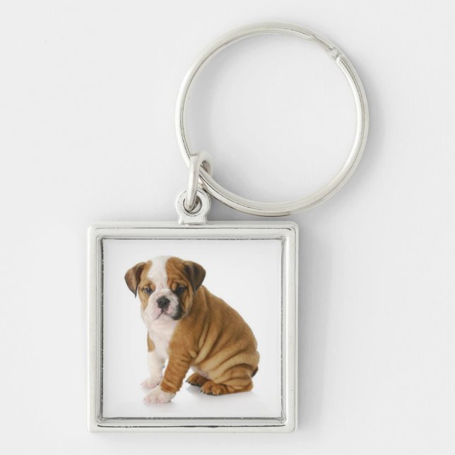 Chaveiro de Cachorro Inglês Fofo (Frente)