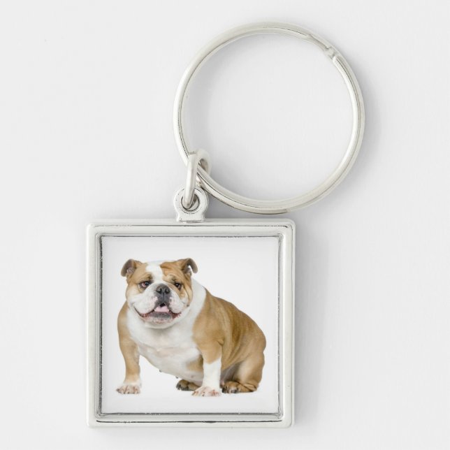 Chaveiro de Cachorro Inglês Fofo (Frente)