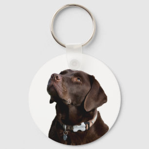 Chaveiro de Cachorro Labrador Retriever Preto Marr
