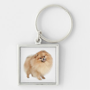 Chaveiro de Cachorro Pomerânia Pom Pom 