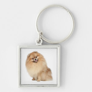 Chaveiro de Cachorro Pomerânia Pom Pom