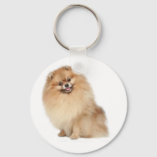 Chaveiro de Cachorro Pomerânia Pom Pom