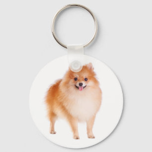 Chaveiro de Cachorro Pomerânia Pom Pom