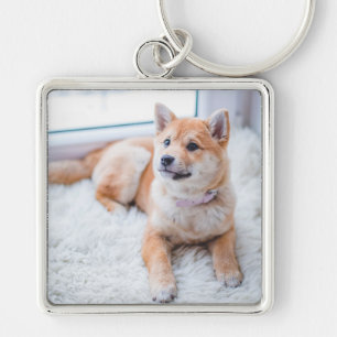 Chaveiro de Cão de Pet Fotográfico Personalizado