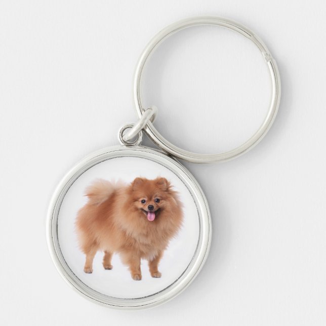 Chaveiro de Cão Pupppy Pom Pom Pomeraniano (Frente)