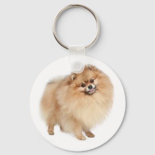 Chaveiro de Cão Pupppy Pom Pom Pomeraniano