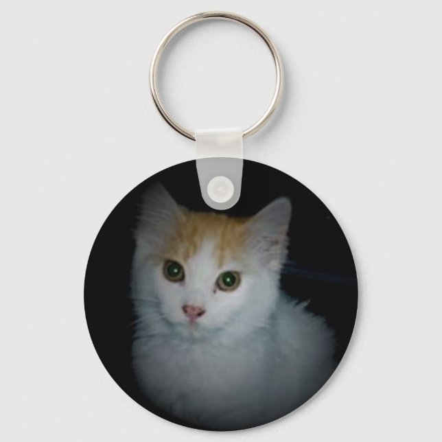 Chaveiro de Cat. 4 (Frente)