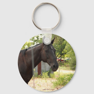 Chaveiro de cavalos