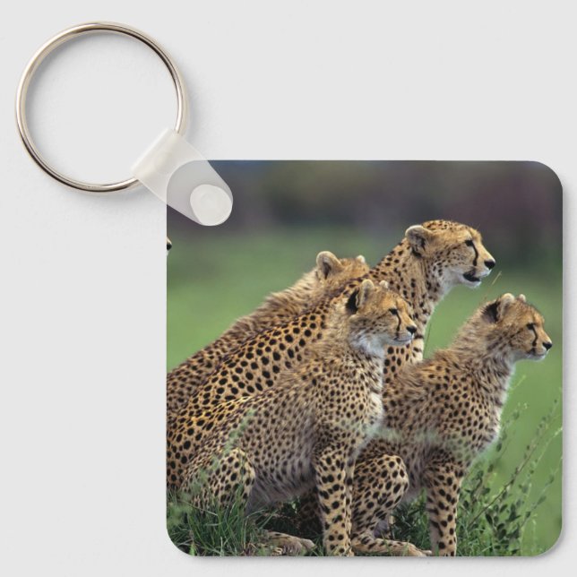 Chaveiro de chaveiro-Cheetah (Frente)