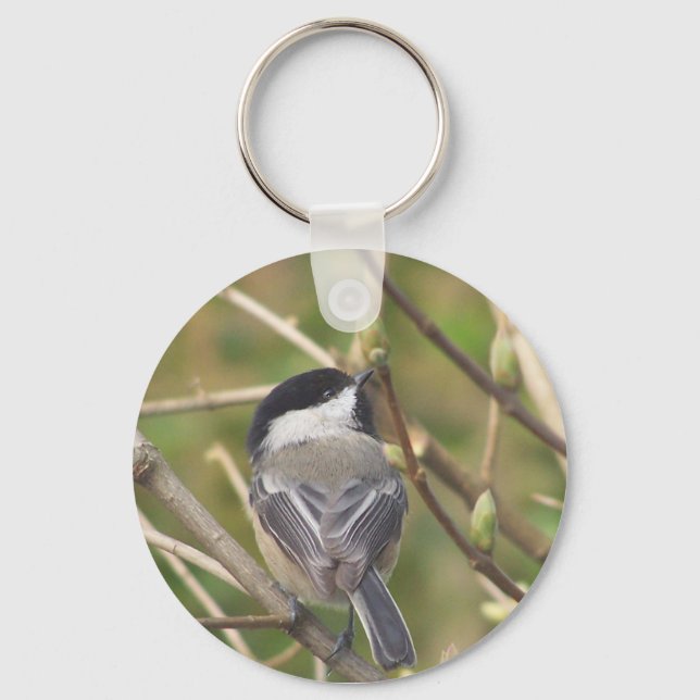 Chaveiro de Chickadee (Frente)