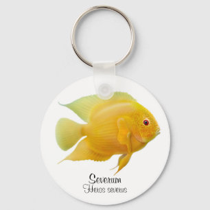 Chaveiro de Cichlid Dourado Severo