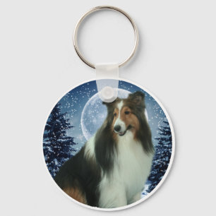 Chaveiro de Duncan do inverno
