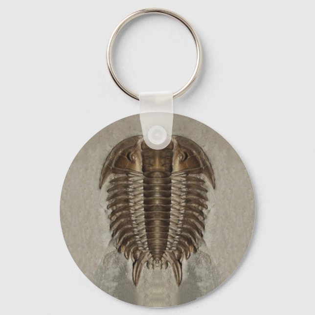 Chaveiro de Fóssil de Trilobite (Frente)