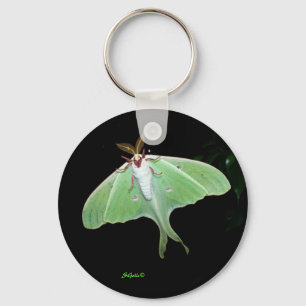 Chaveiro de Foto da Luna Moth