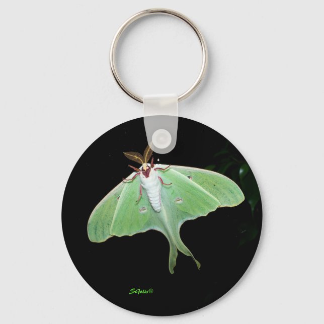 Chaveiro de Foto da Luna Moth (Frente)