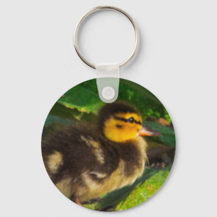 Chaveiro de Foto Duckling
