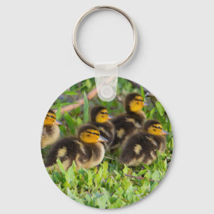 Chaveiro de Foto Ducklings