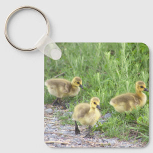 Chaveiro de Fotografia de Goslings