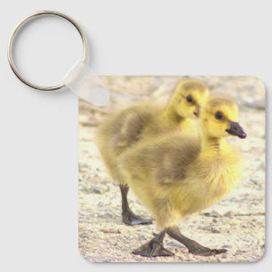 Chaveiro de Fotografia de Goslings