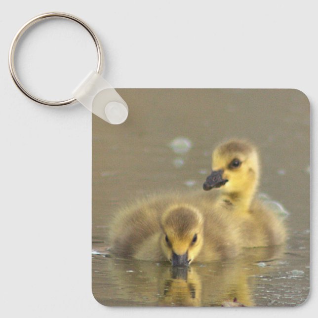 Chaveiro de Fotografia de Goslings (Frente)