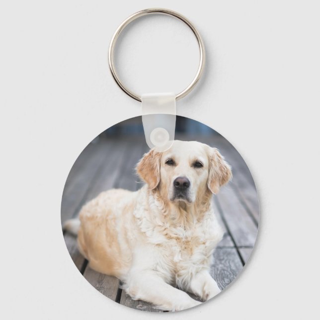 Chaveiro de Fotografia Pet Personalizada (Frente)