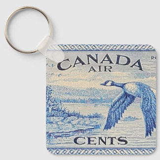 Chaveiro de Ganso do Canadá