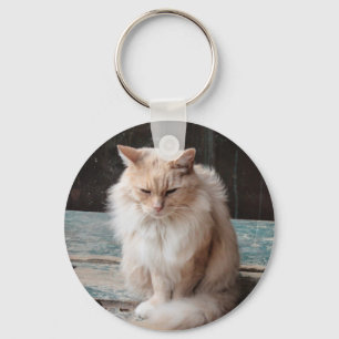 Chaveiro de gato