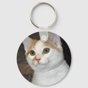 Chaveiro de Gato de Abrigo de Ar Curto Branco/Tan
