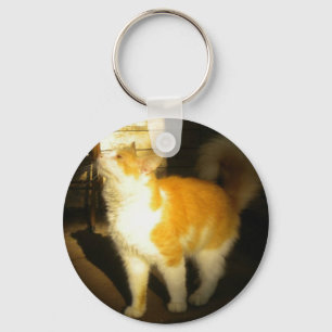 Chaveiro de Gato de ouro