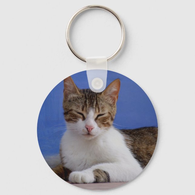 Chaveiro de Gato Grego (Frente)