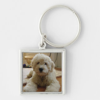 Chaveiro de Goldendoodle