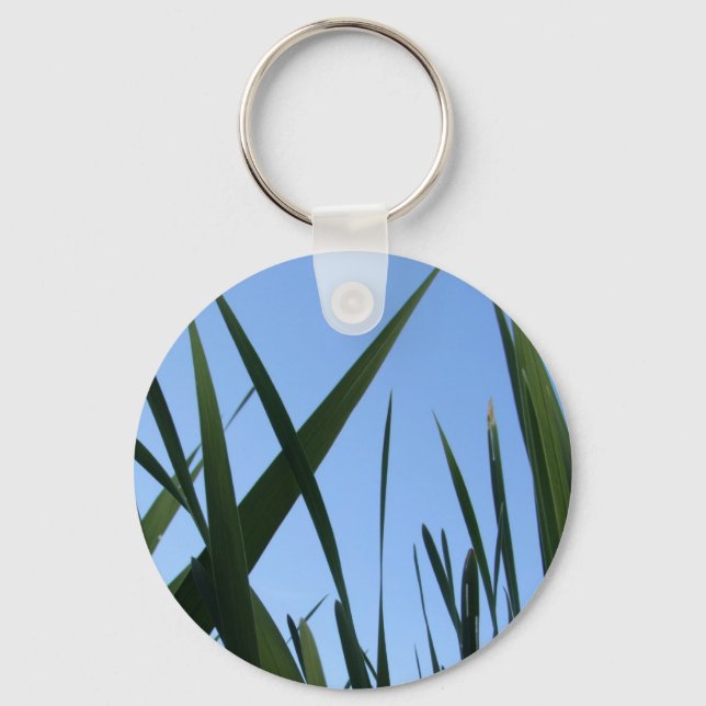 Chaveiro de Grass (Frente)